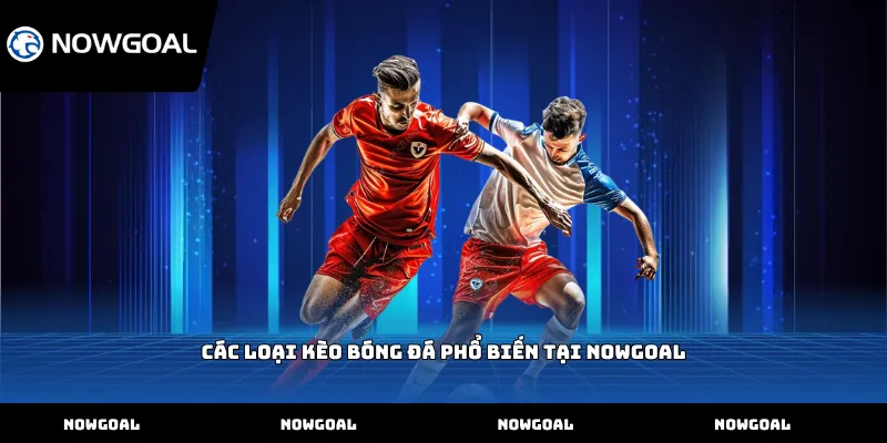 Các loại kèo bóng đá phổ biến tại Nowgoal