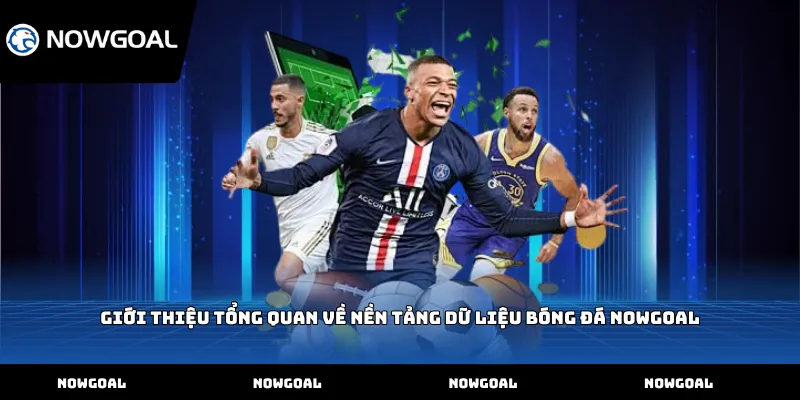 Giới thiệu tổng quan về nền tảng dữ liệu bóng đá Nowgoal
